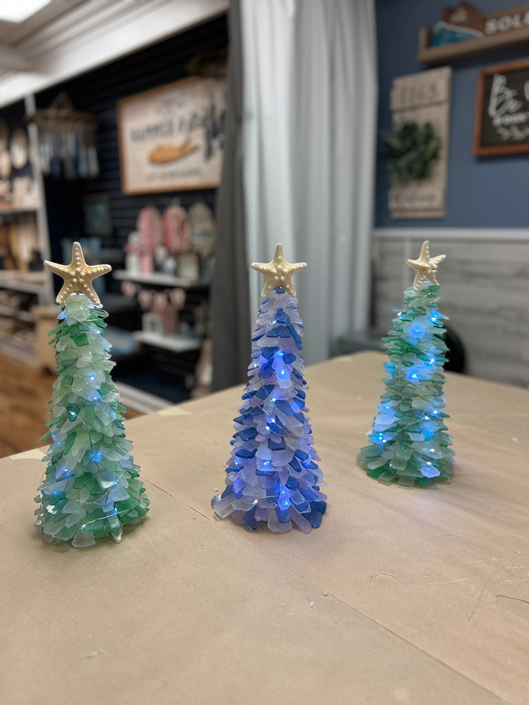 01/31/25 6:00pm Tumbled Sea Glass Trees & Succulents